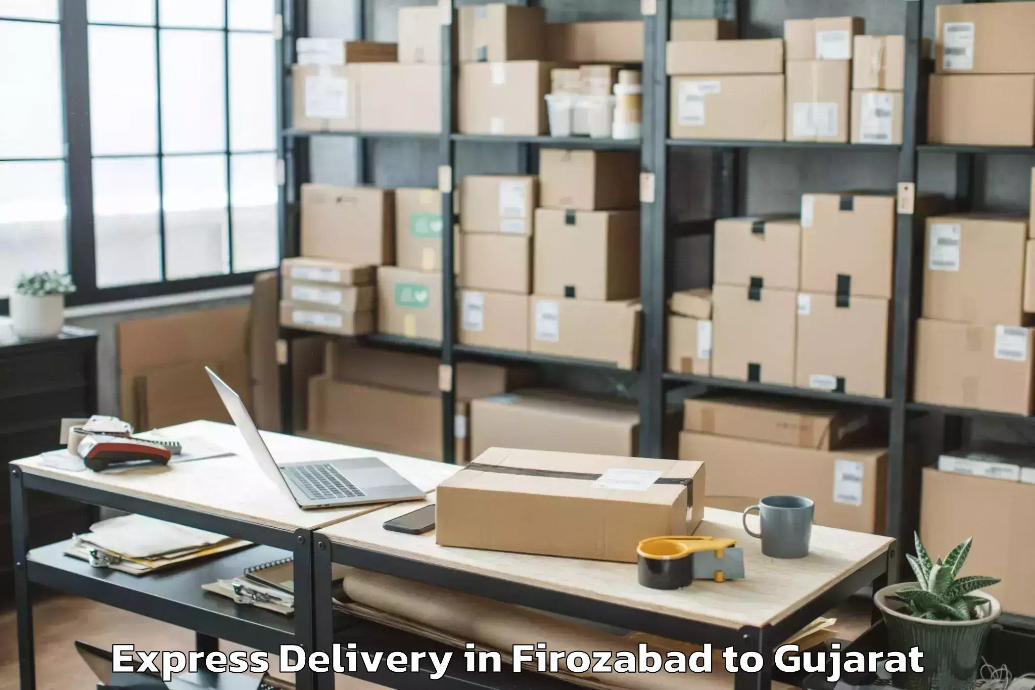 Book Firozabad to Valod Express Delivery Online